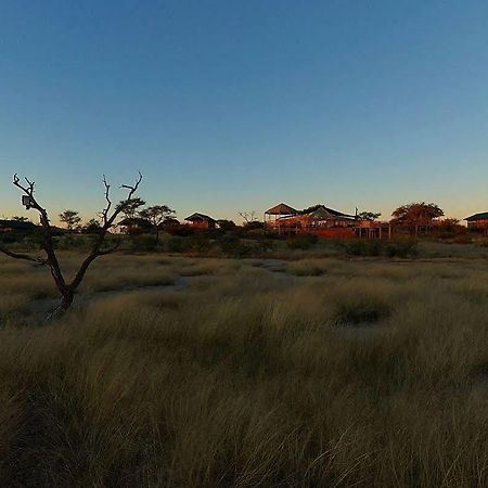 Suricate Tented Lodge มาเรียนทอล ภายนอก รูปภาพ