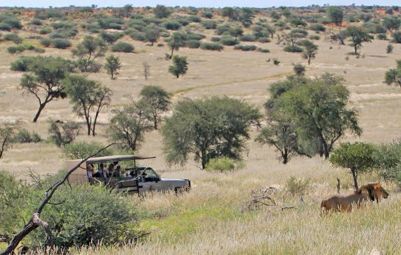 Suricate Tented Lodge มาเรียนทอล ภายนอก รูปภาพ