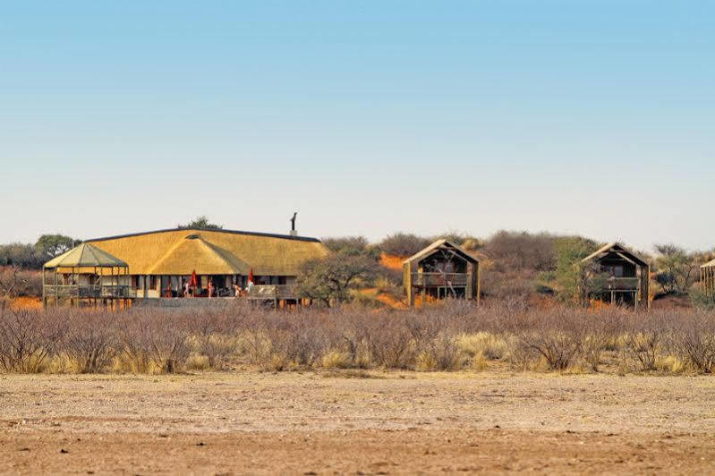 Suricate Tented Lodge มาเรียนทอล ภายนอก รูปภาพ