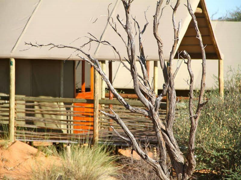 Suricate Tented Lodge มาเรียนทอล ภายนอก รูปภาพ